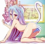 No game no life shiro naked 🔥 Shiro (No Game No Life) Image 